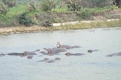 0355-Reis Zuid-Afrika2007